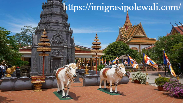 Keanggunan Tropis di Pusat Siem Reap: Menyelami